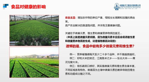 跨越隱形饑餓，點(diǎn)亮健康未來 硒鍶硅鋅營(yíng)養(yǎng)健康食品項(xiàng)目與生態(tài)旅游開發(fā)協(xié)同發(fā)展計(jì)劃